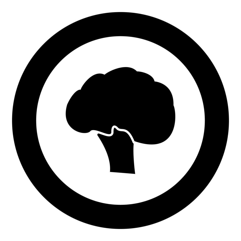 Broccoli black icon in circle vector illustration isolated .