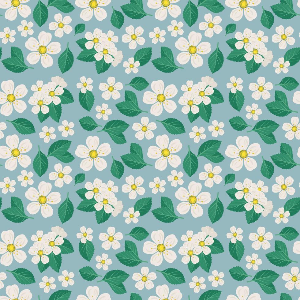 Seamless pattern with white cherry flowers on branch with leaves on blue background. Print of spring decoration, flowering fruit tree plant. Vector flat illustration