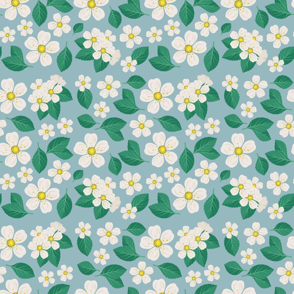 patrón sin fisuras con flores de cerezo blanco en rama con hojas sobre fondo azul. estampado de decoración de primavera, planta de árboles frutales florecientes. ilustración plana vectorial vector