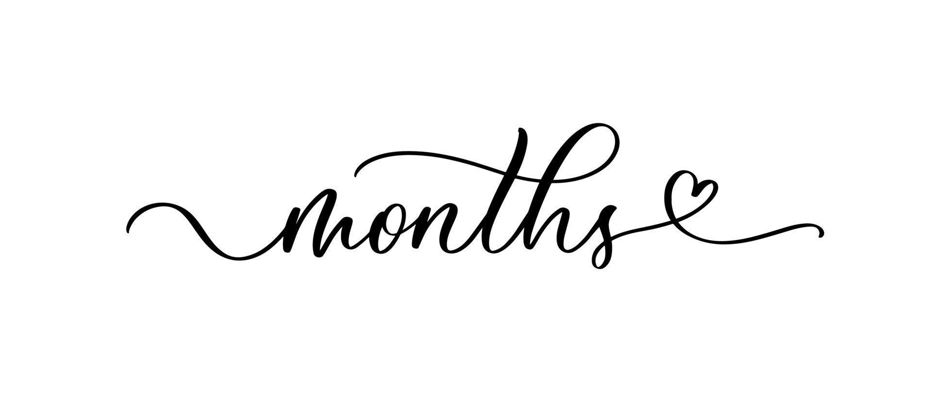 Months continuous line cursive text. Lettering script vector illustration for year calendar, poster, card, banner, invitation.