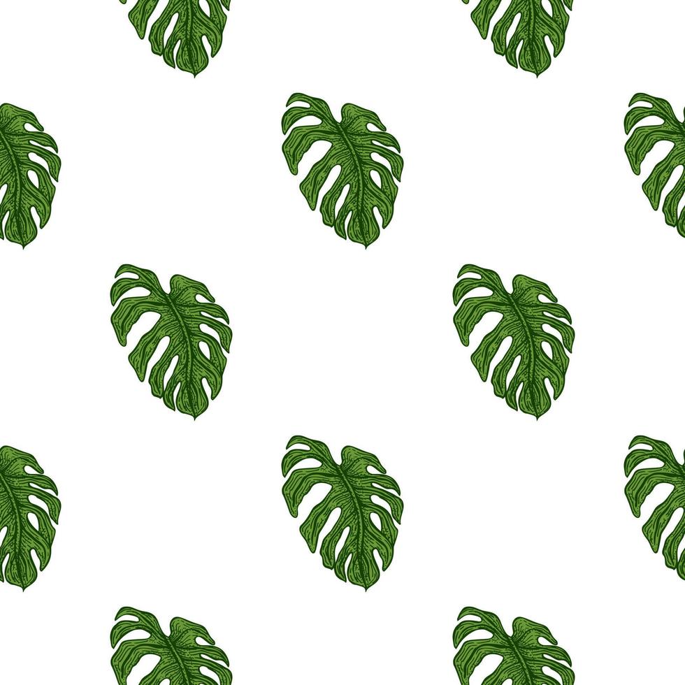 Monstera leaf seamless pattern.Vintage tropical branch in engraving style. vector