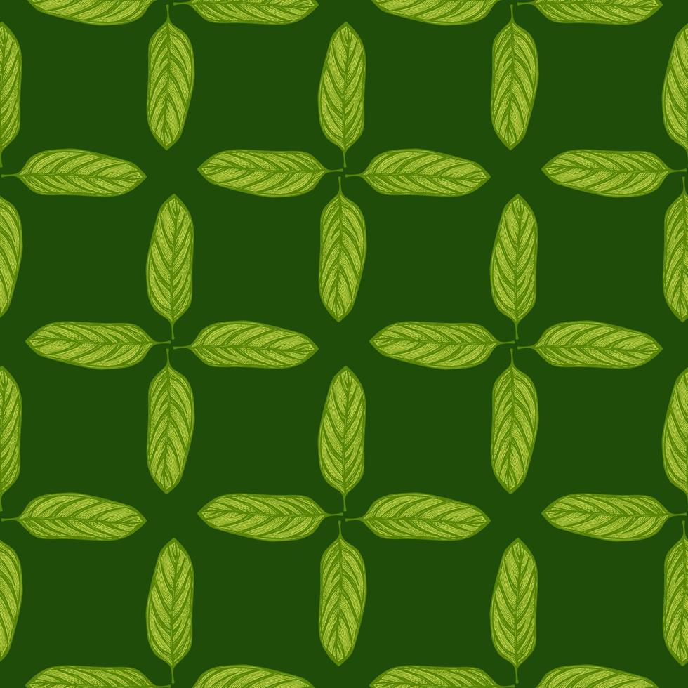 Alocasia leaves seamless pattern.Vintage tropical branch in engraving style. vector