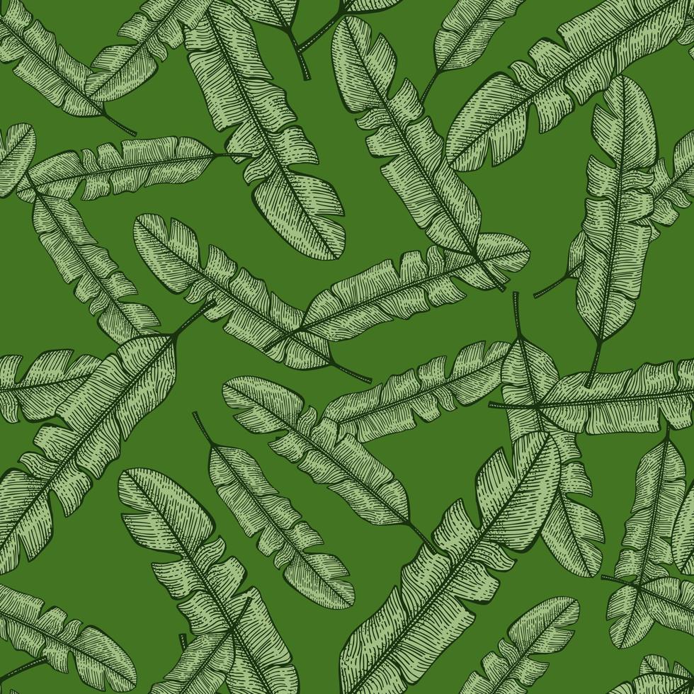 hojas de plátano de patrones sin fisuras.rama tropical vintage en estilo de grabado. vector