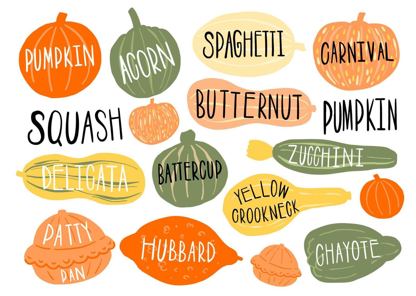 Pumpkin set type name collection.Varieties shape and color.Collection hand drawn element food. vector