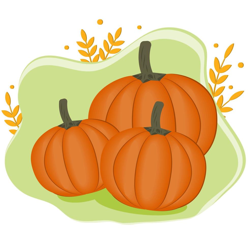 Orange pumpkin vector illustration. Autumn halloween pumpkin, vegetable graphic icon