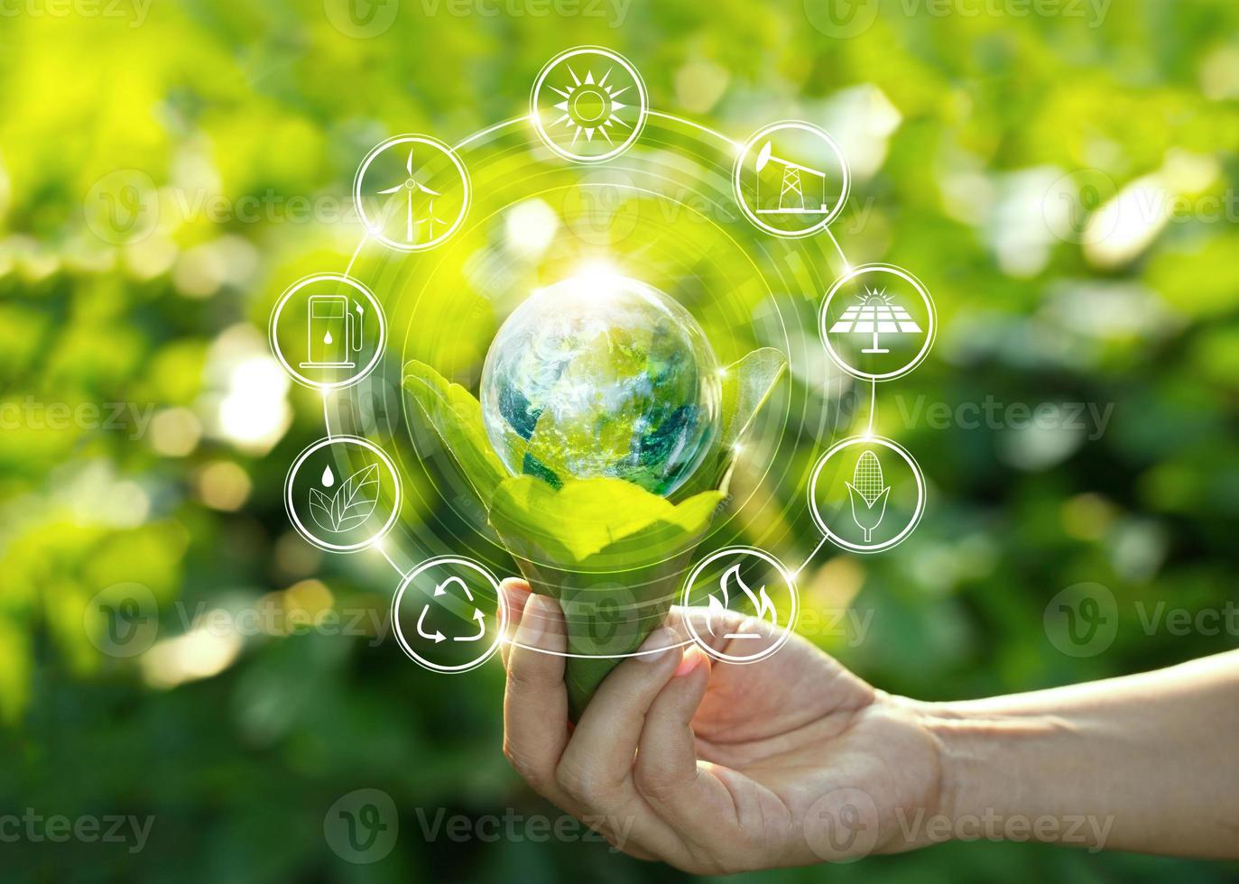 Hand holding light bulb against nature on green leaves with icons energy sources for renewable, sustainable development. Ecology concept. Elements of this image furnished by NASA. photo