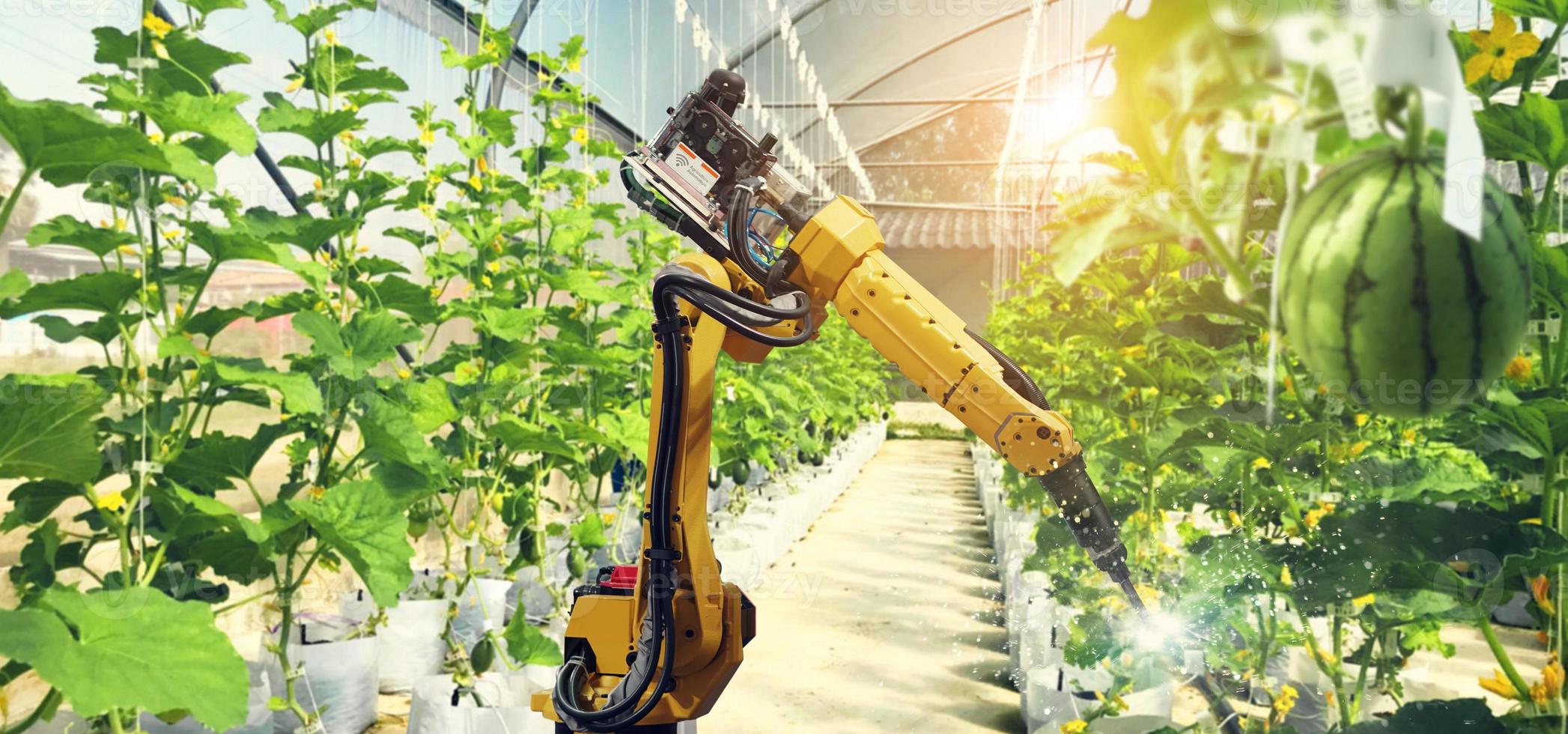 Artificial intelligence. Pollinate of fruits and vegetables with robot. Detection spray chemical. Leaf analysis and oliar fertilization. Agriculture farming technology concept. photo
