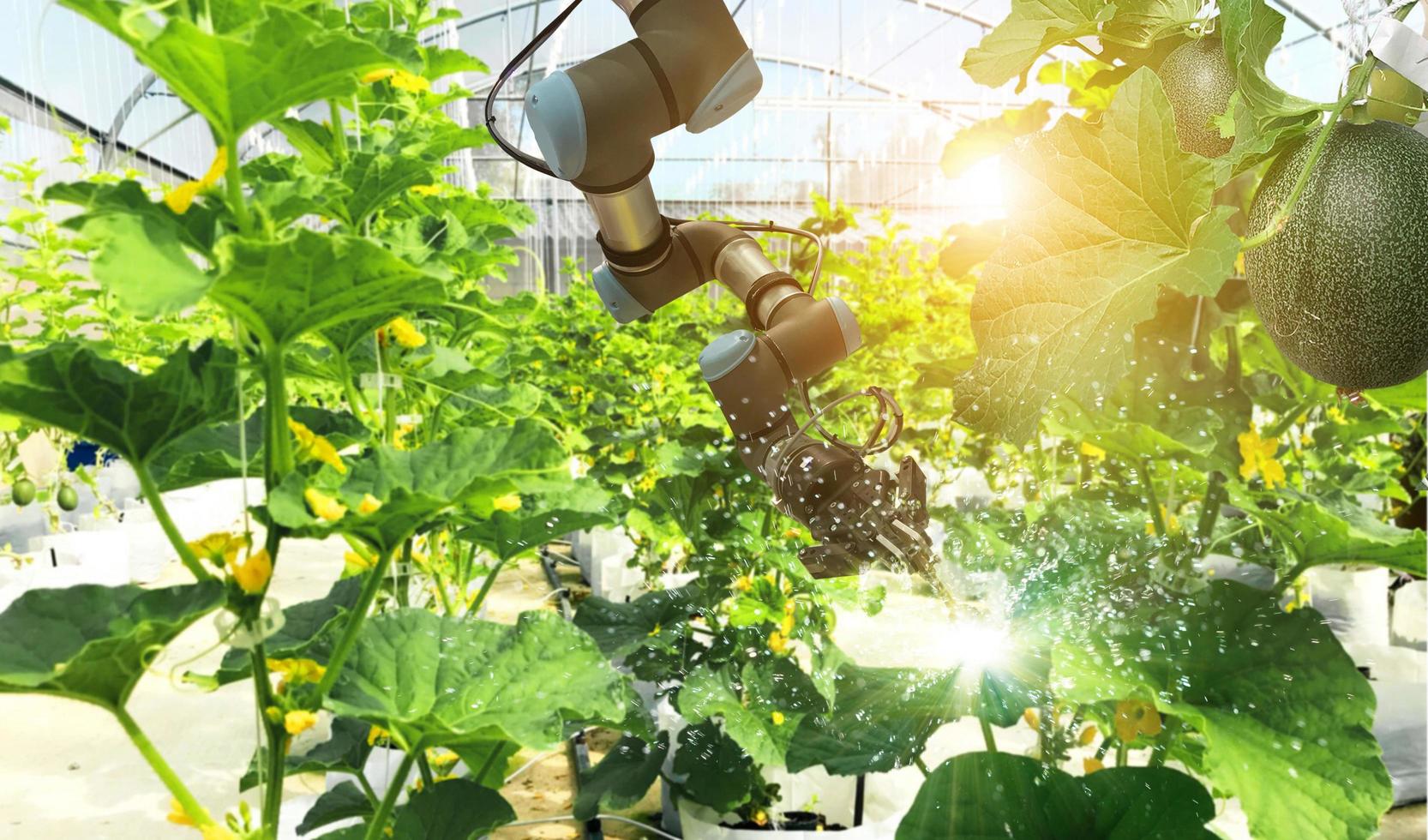 Artificial intelligence. Pollinate of fruits and vegetables with robot. Detection spray chemical. Leaf analysis and oliar fertilization. Agriculture farming technology concept. photo