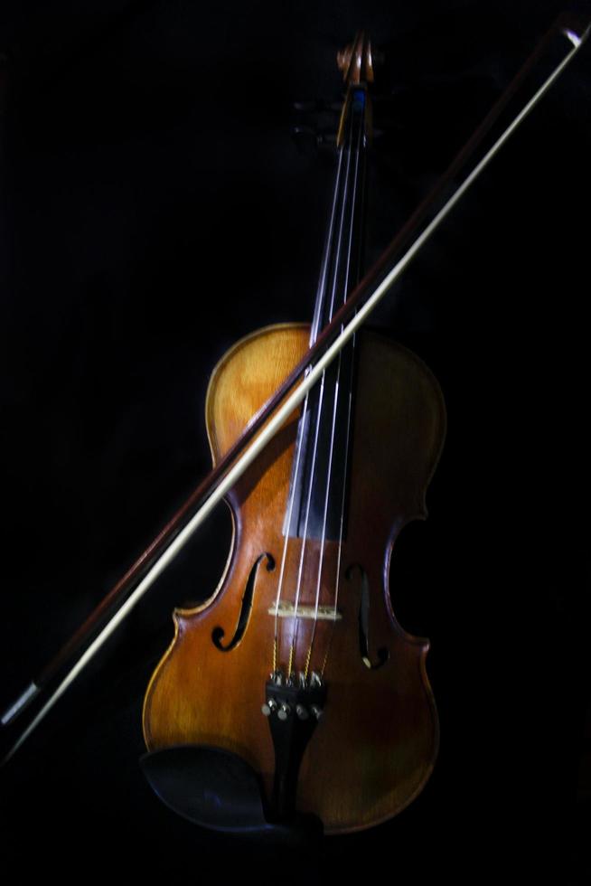 violin background music for business and banner photo