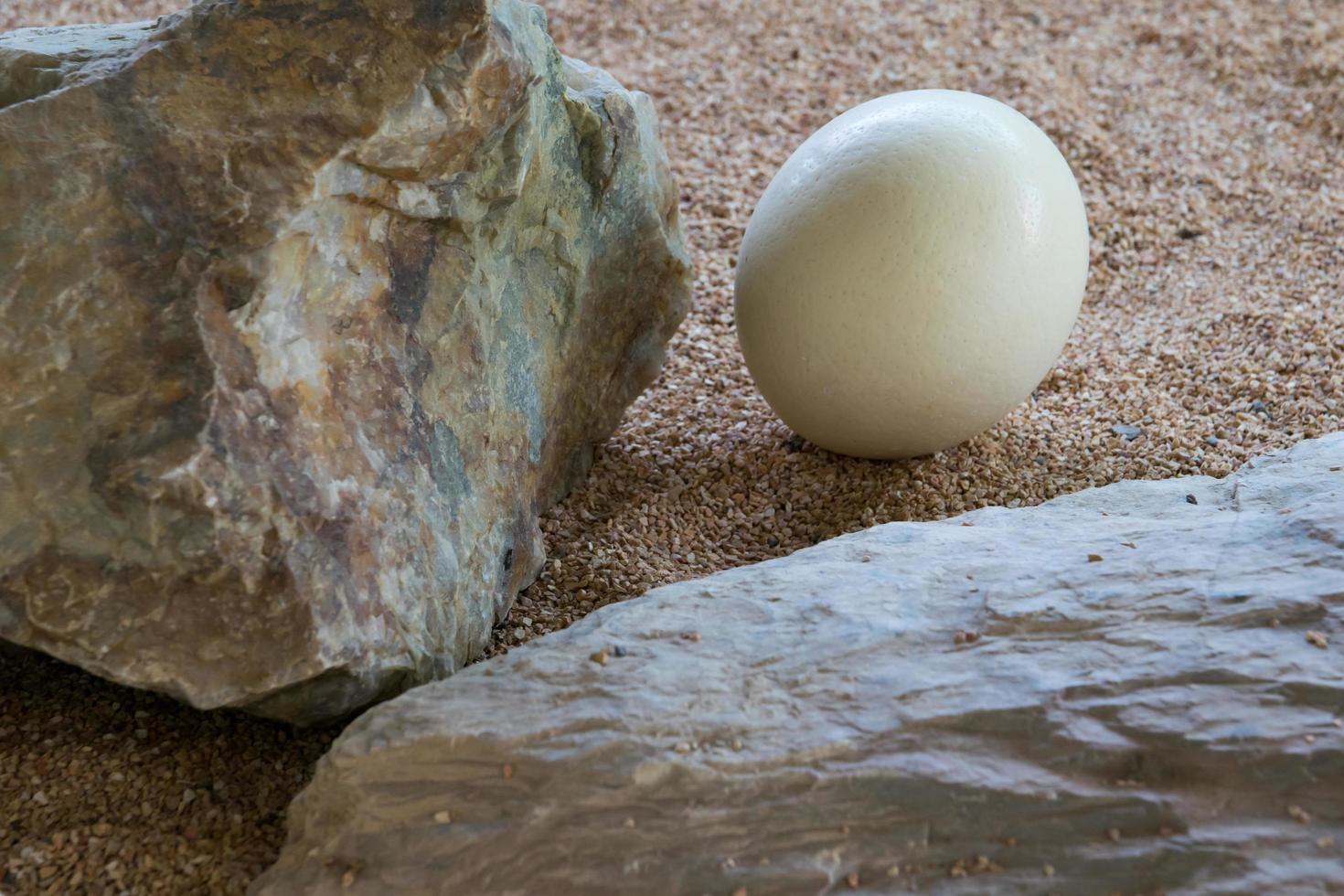 Ostrich egg in desert photo