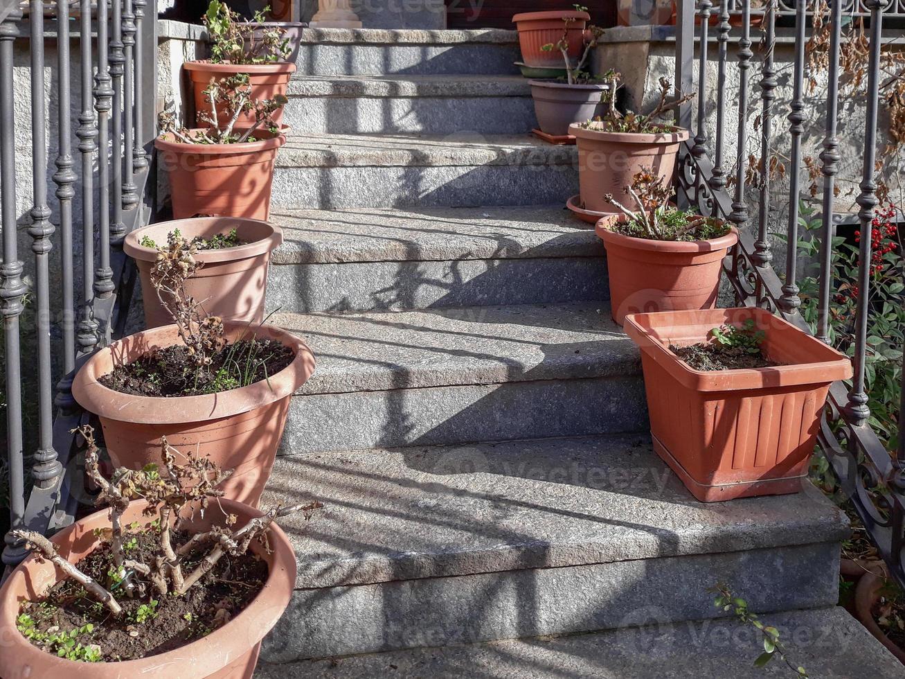 stone stairs and potted plants photo