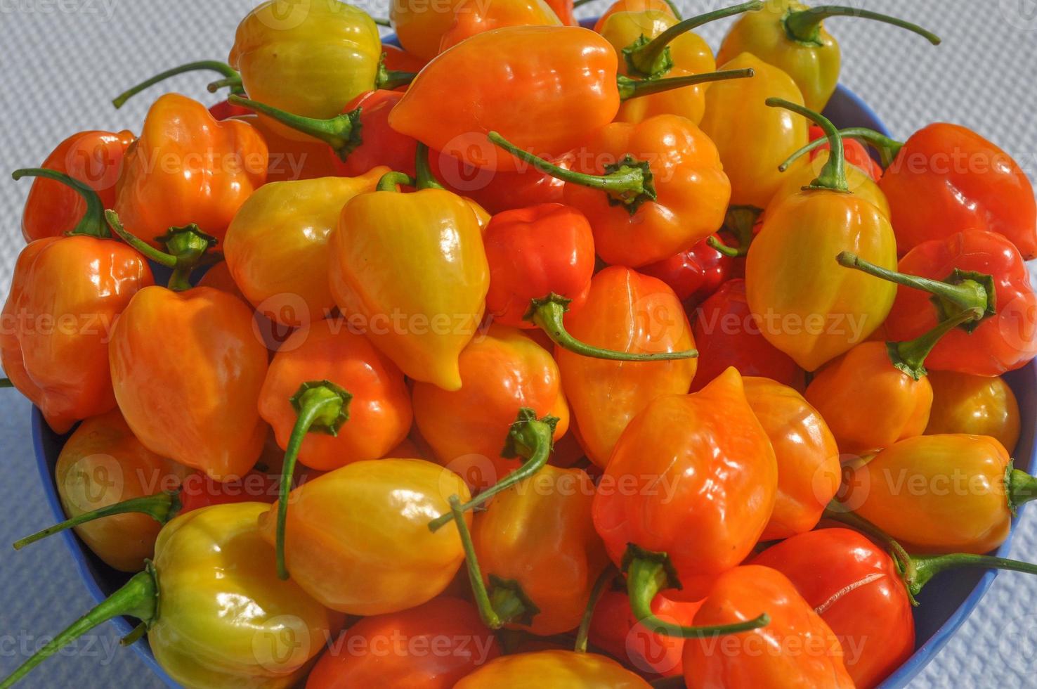 Red peppers vegetables photo