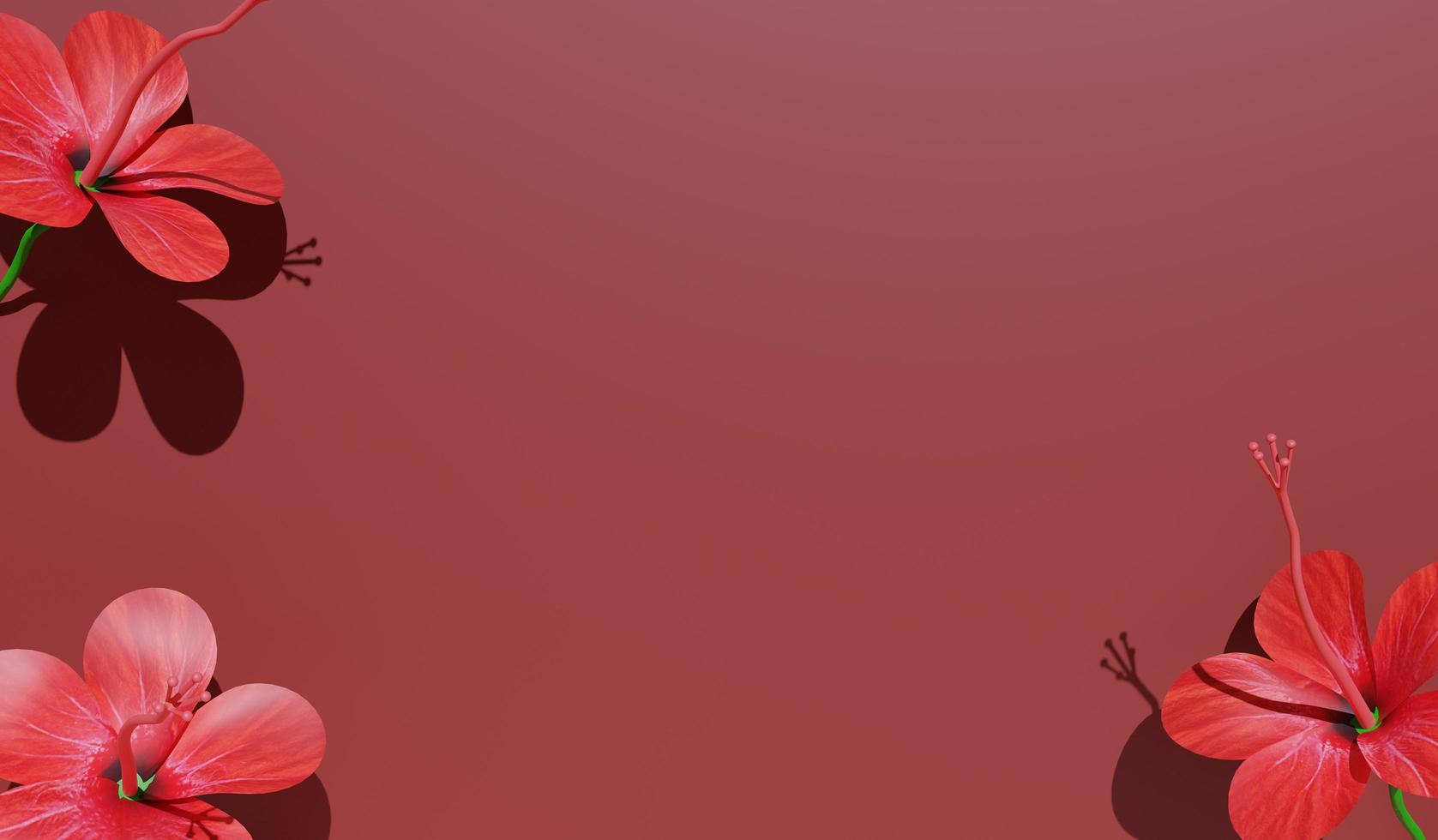 3D rendering three red Hibiscus flower and red space background for copy space and other photo