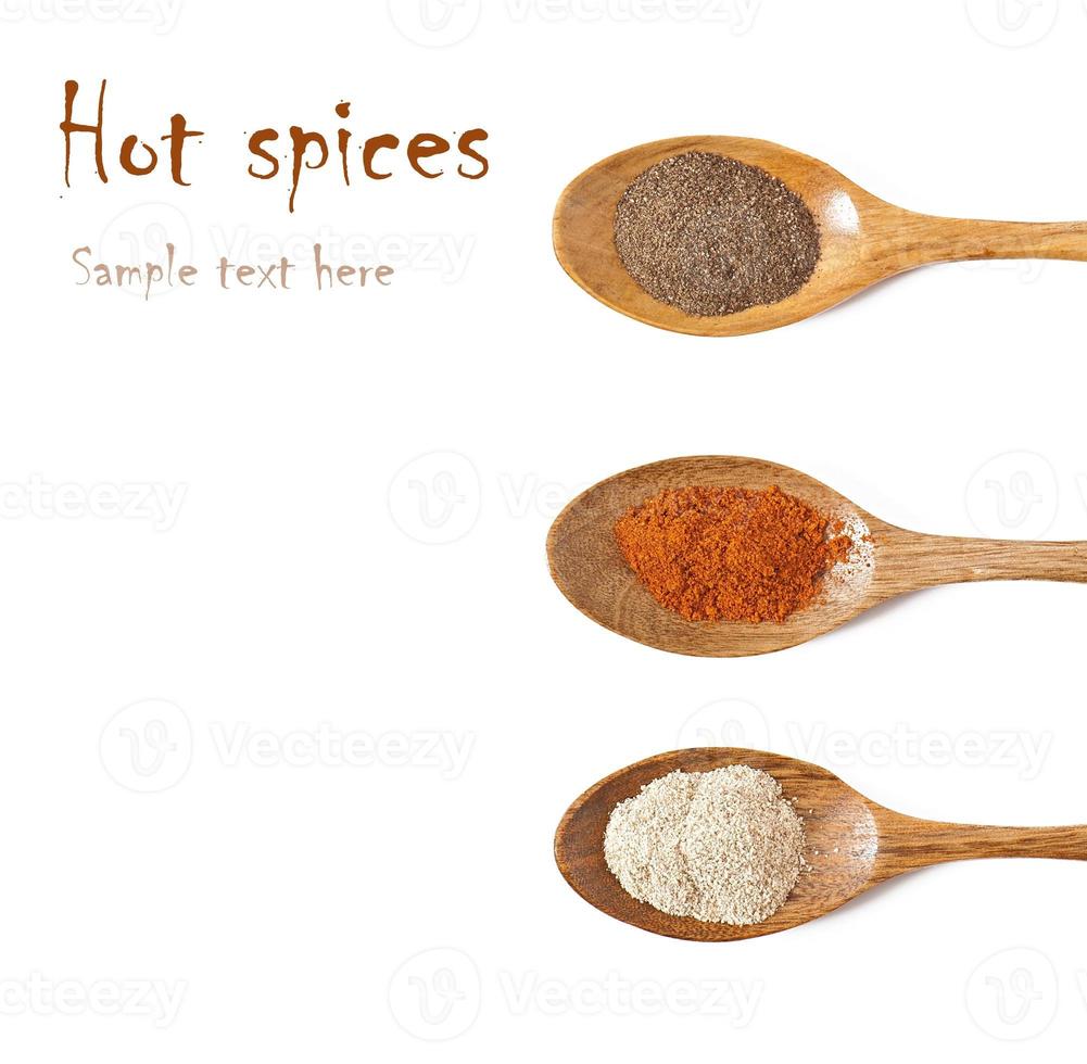 Various of hot spices in wooden spoons photo