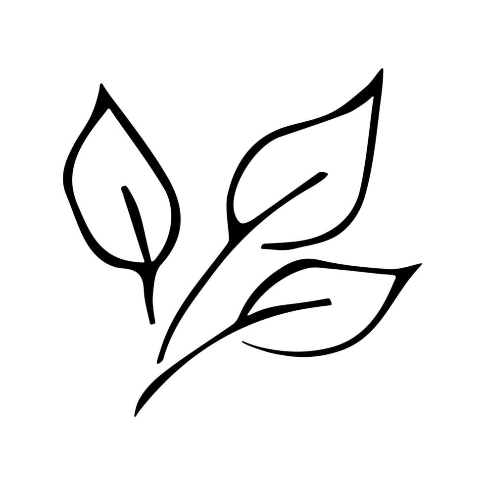 My Image 3
