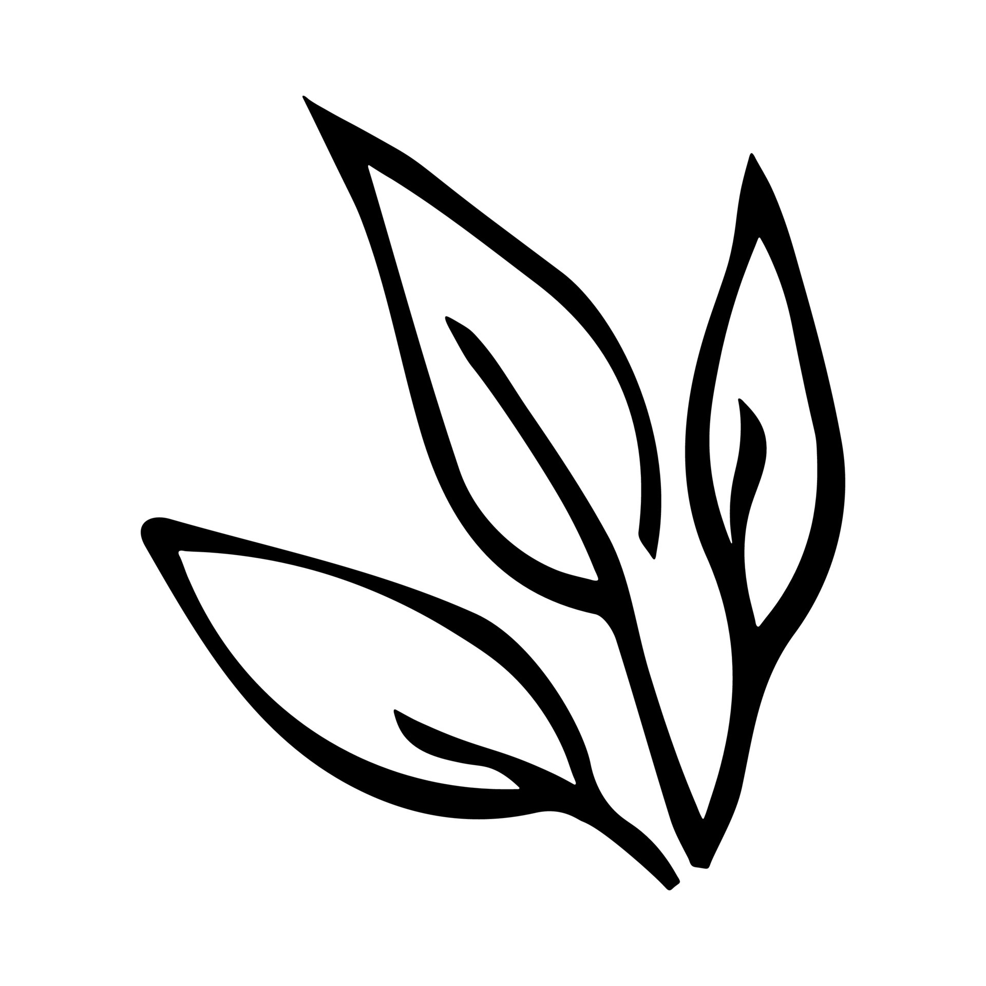Simple leaf illustration isolated on white background. Hand drawn