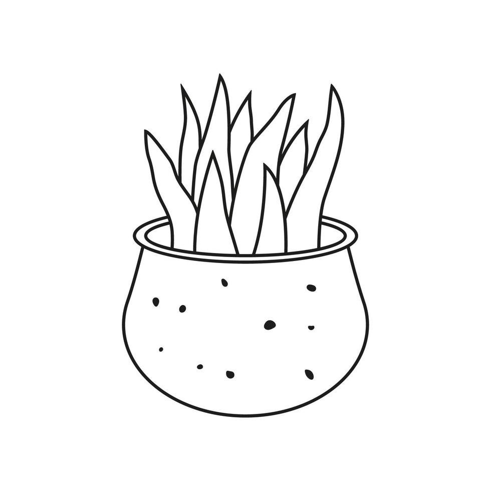 House plant in pot isolated on white background. Potted plant in black and white line drawing style. Vector illustration