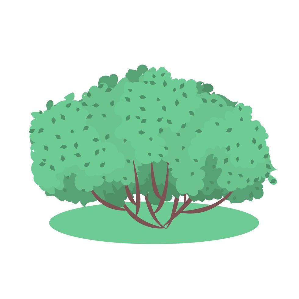 Vector garden bush isolated shrub hedge. Green bush cartoon grass shrubbery plant.