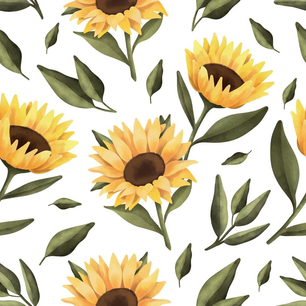 Watercolor seamless pattern of sunflower and leaves. Hand painted floral illustration isolated on white background. vector