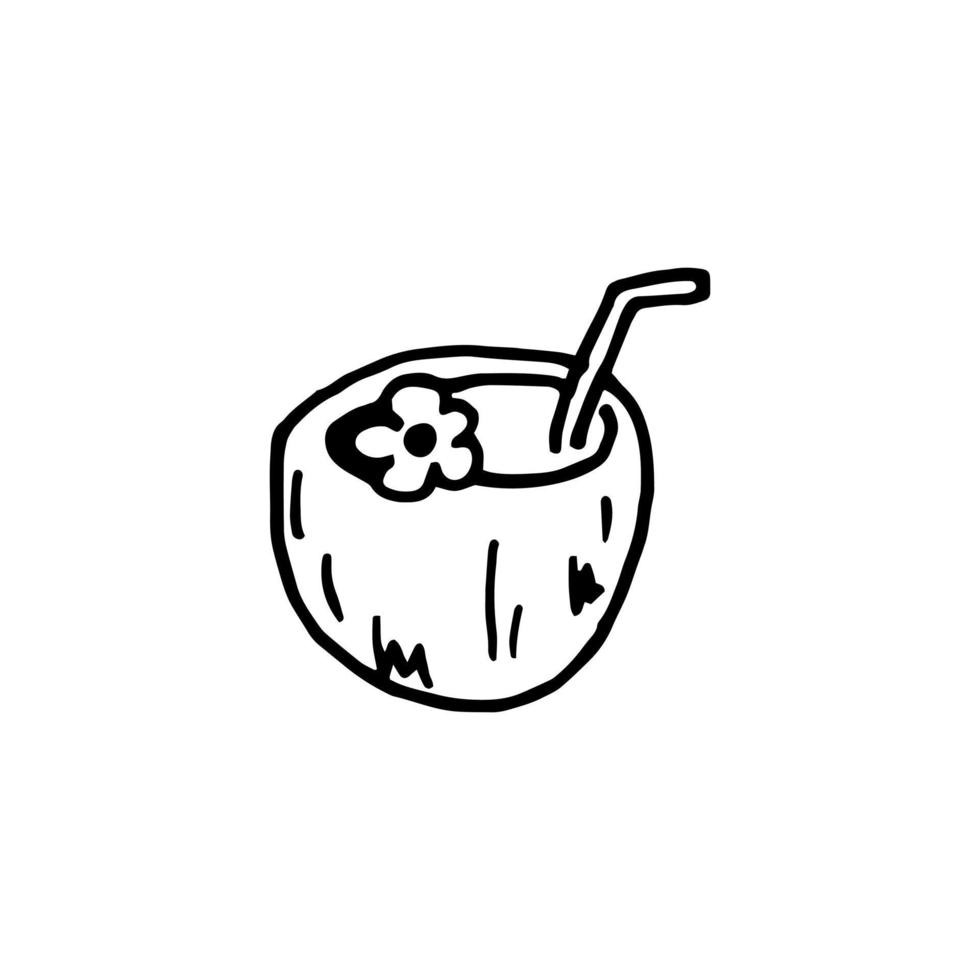 Young coconut doodle illustration. Milk or nut cocktail. Hand drawn pina colada print for menu, t-shirt. Isolated image of straw, leaves, flower. Vector illustration. Black outline, white background