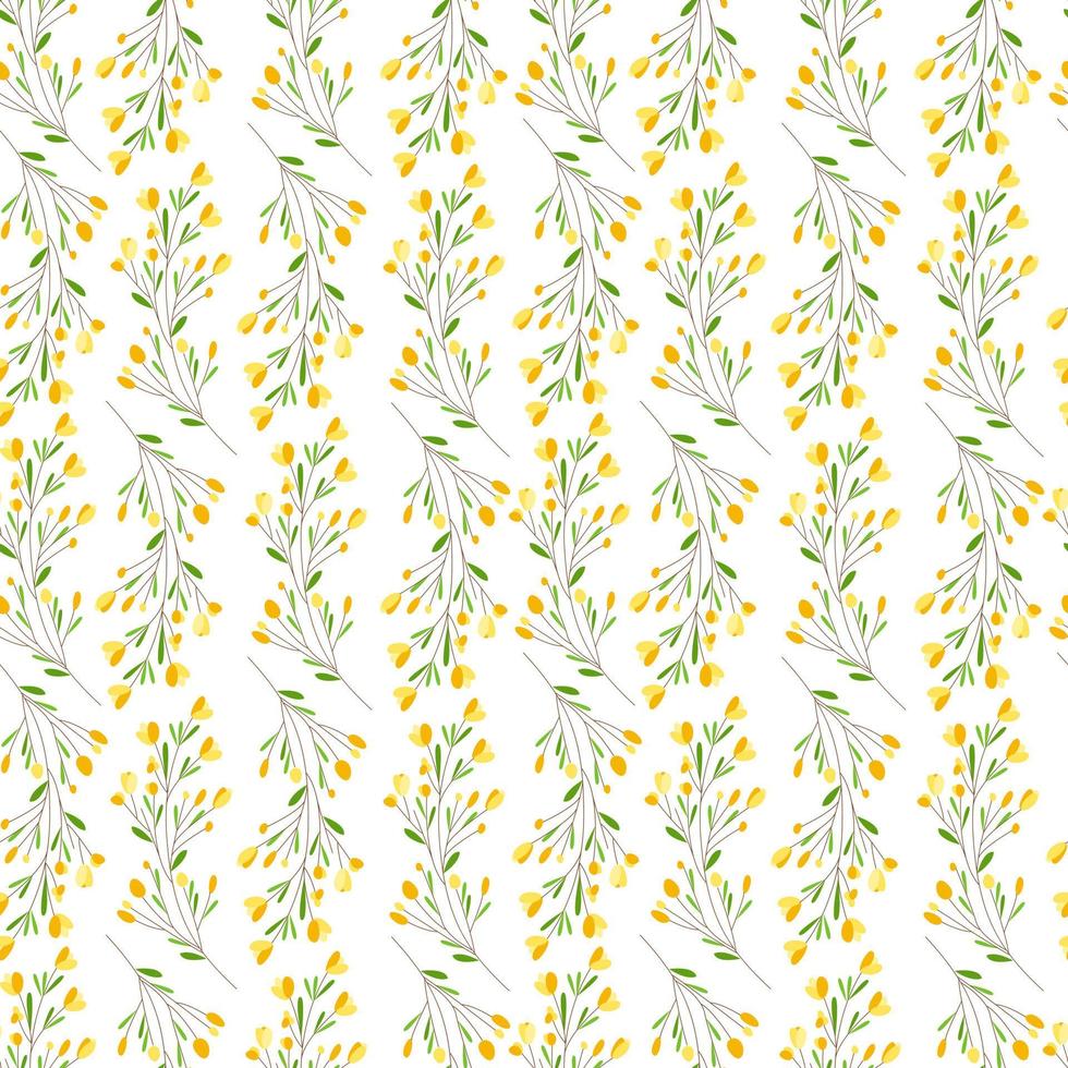 seamless pattern mimosa stylized. Branch of plants, yellow flowers, small leaves on a white background. Beautiful, delicate ornament for printing on fabric, paper, interior decoration. Vector