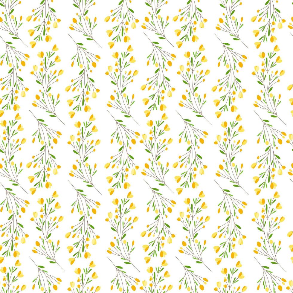 seamless pattern mimosa stylized. Branch of plants, yellow flowers, small leaves on a white background. Beautiful, delicate ornament for printing on fabric, paper, interior decoration. Vector