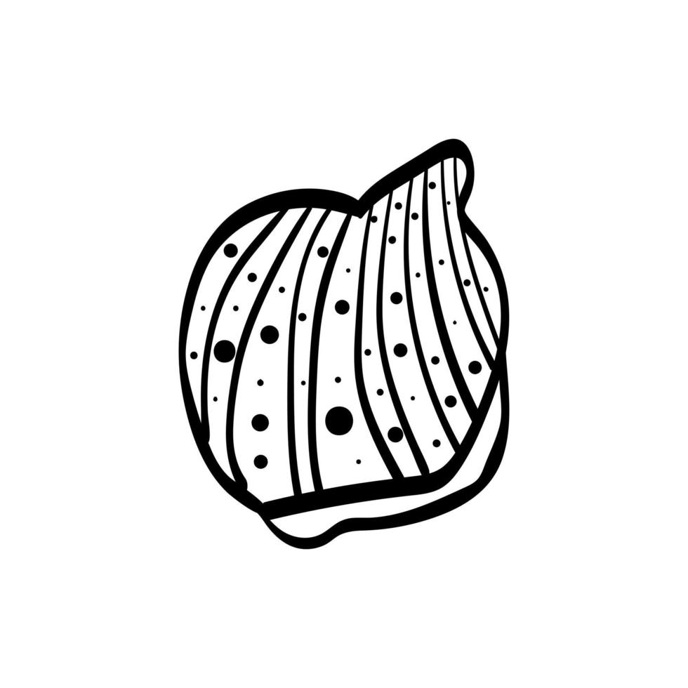 seashell bivalve scallop puxidatus doodle. Black and white coloring. Cute monochrome print for printing on fabric, paper, wallpaper, packaging. Summer goods. Vector illustrations, drawings