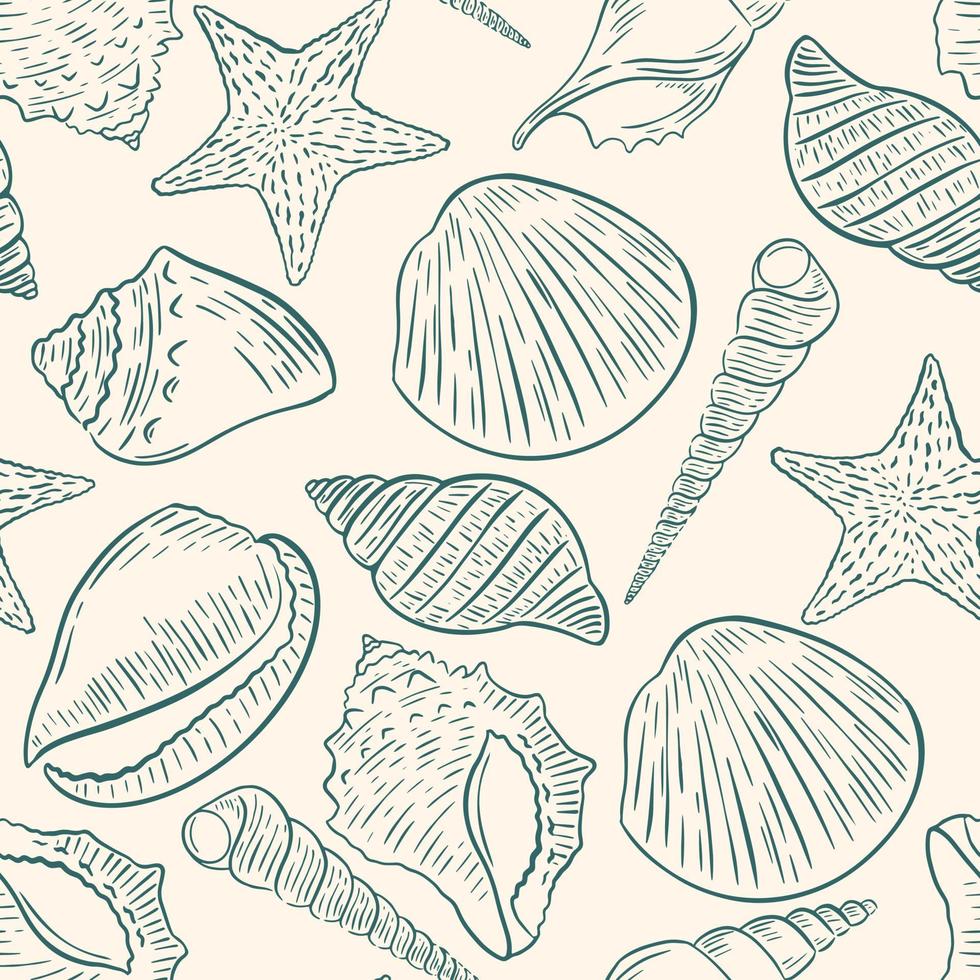 Seashells seamless pattern vector illustration