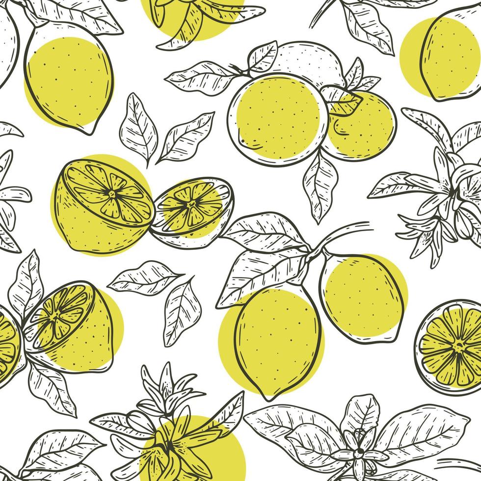 Sketch lemons seamless pattern vector