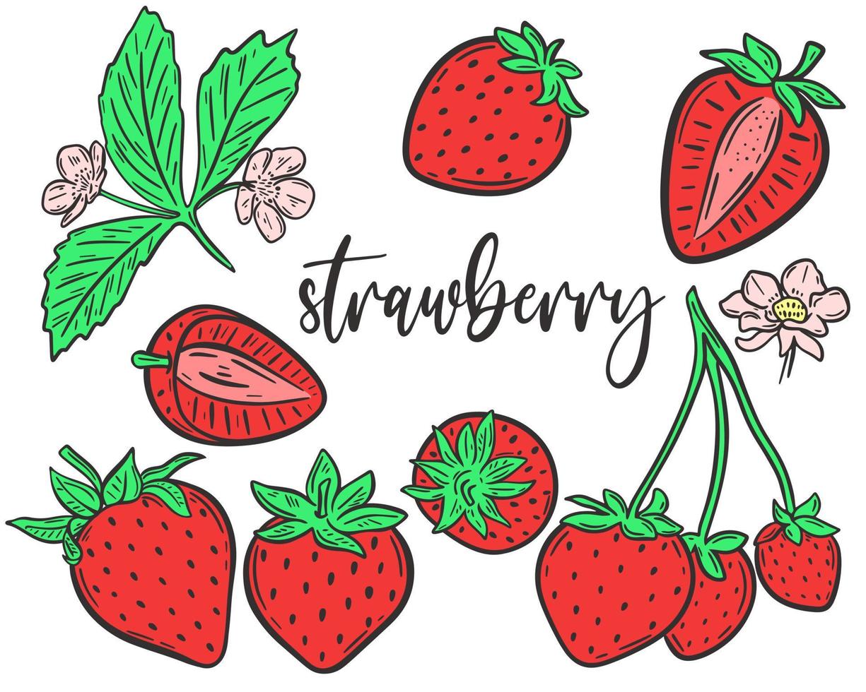 Set strawberries hand drawn vector illustration