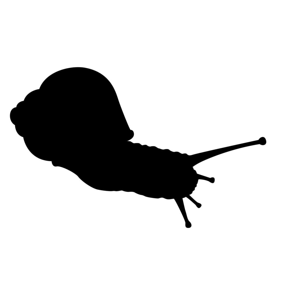 Ilustración de vector de silueta negra de caracol