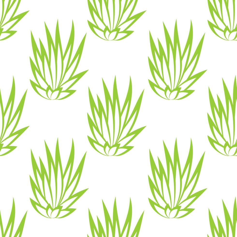 Linear succulent bush seamless pattern on white background. vector