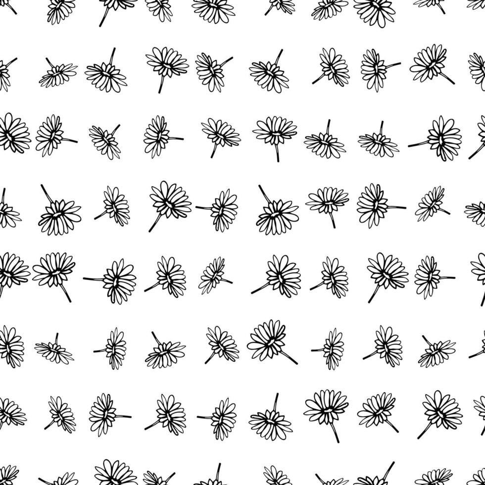 Black and white floral seamless pattern with sketch daisies. Cute background with black grunge chamomiles on white. Seamless hand drawn daisy, meadow flowers, daisies pattern background. vector