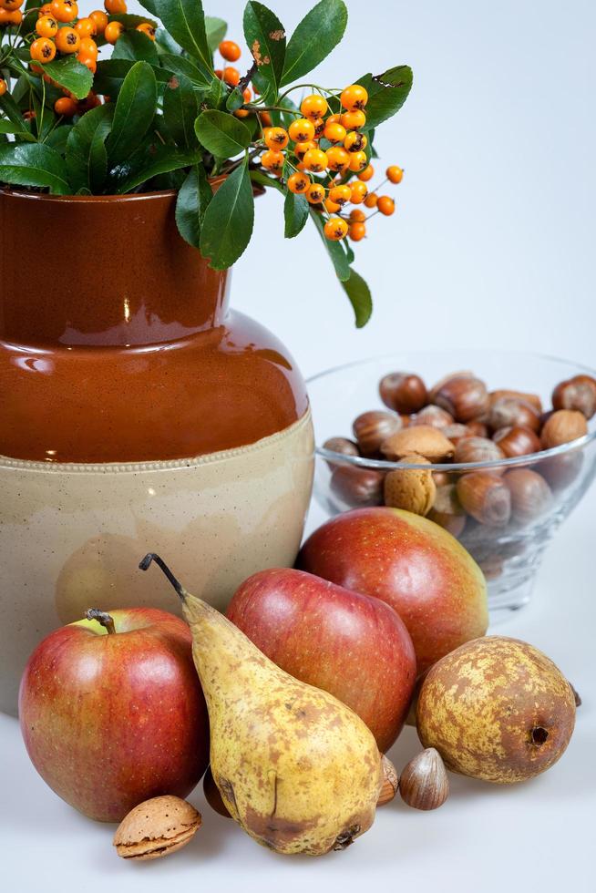 Still life display of Apples, Pear and nuts photo