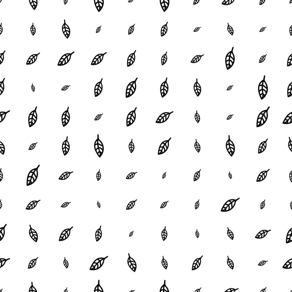 Floral seamless pattern with thin line leaves. vector