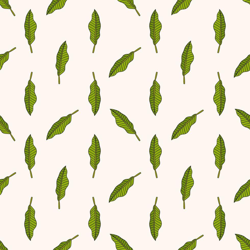 Tropical background with  hand drawn palm leaves on white. Tropic seamless pattern. vector