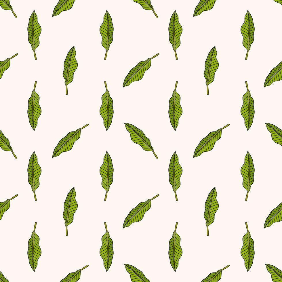 Tropical background with  hand drawn palm leaves on white. Tropic seamless pattern. vector