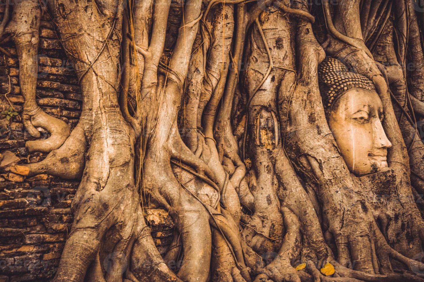 THAILAND Ruins and Antiques at the Ayutthaya Historical Park Tourists from around the world Buddha decay photo