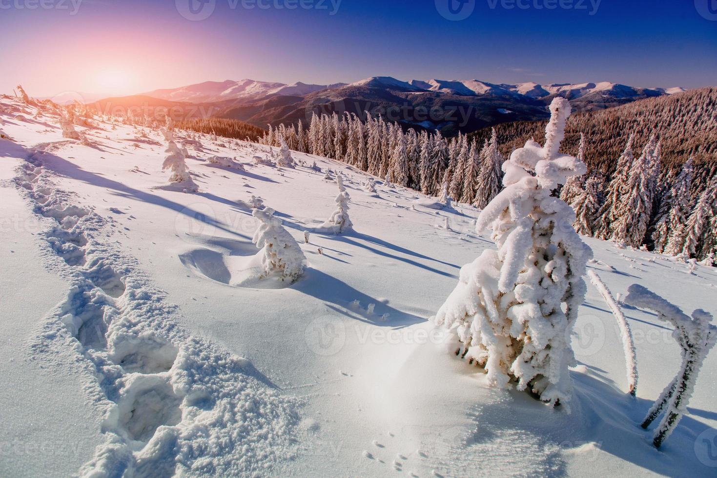 deep footprints in the snow photo