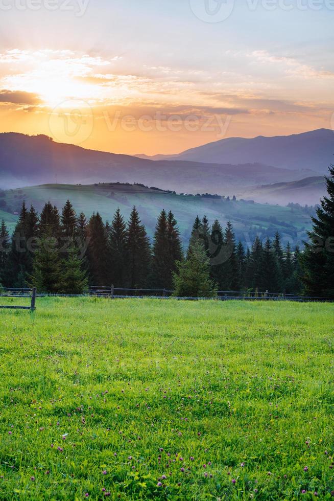 Colorful summer landscape photo