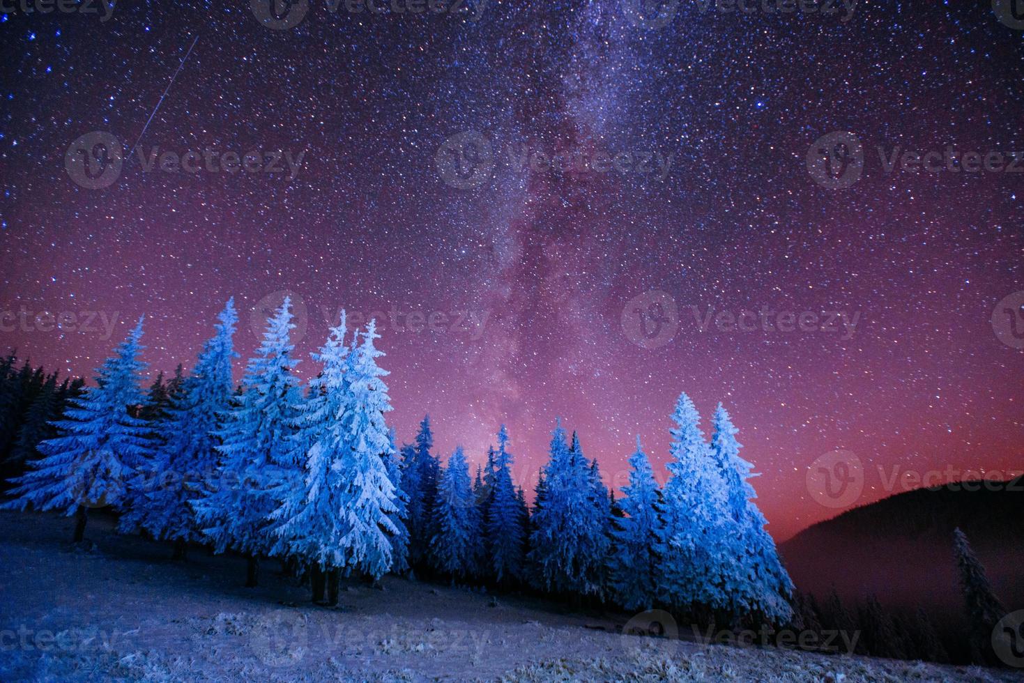 árbol mágico en la noche estrellada de invierno foto