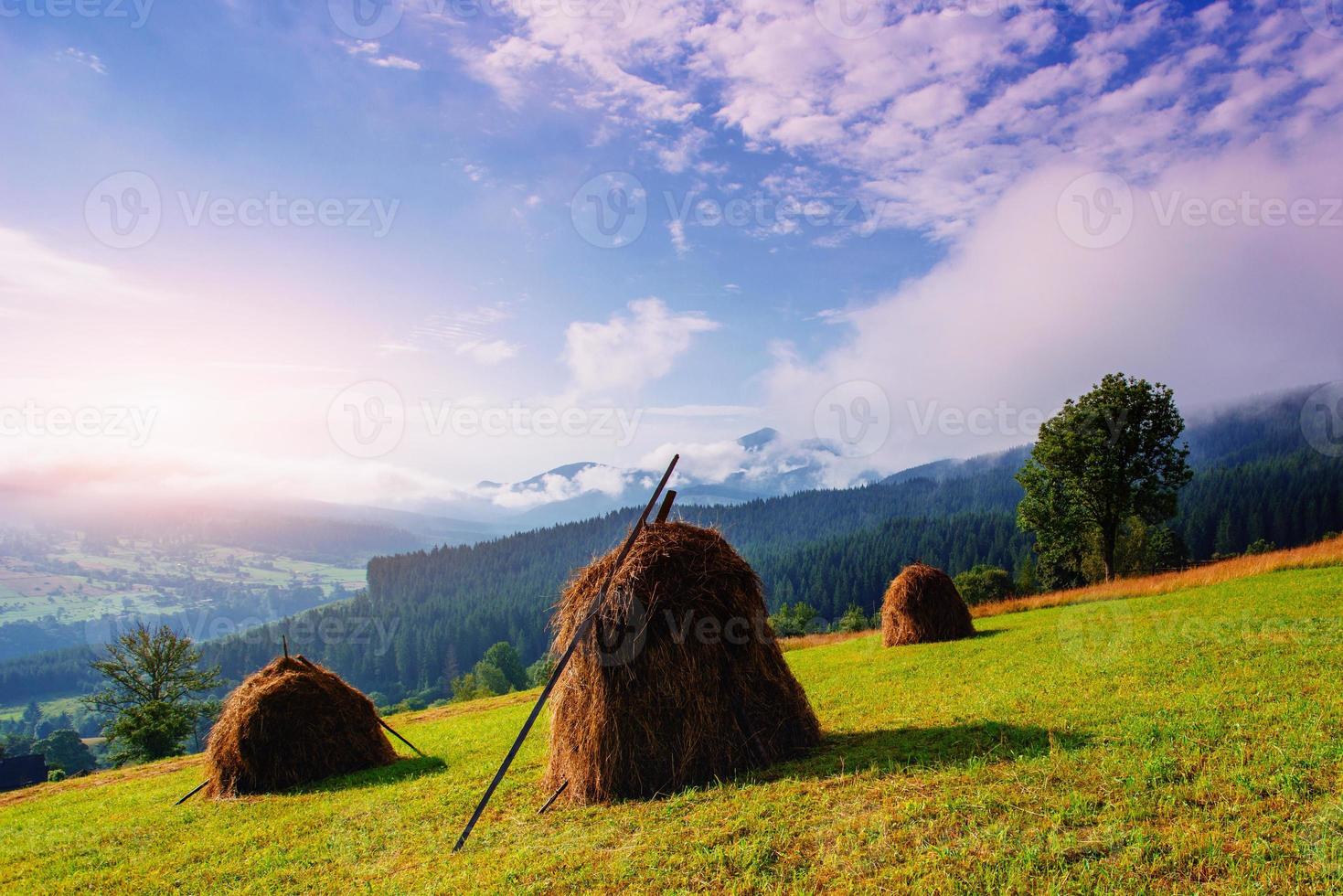 Beautiful sunny day is in mountain photo