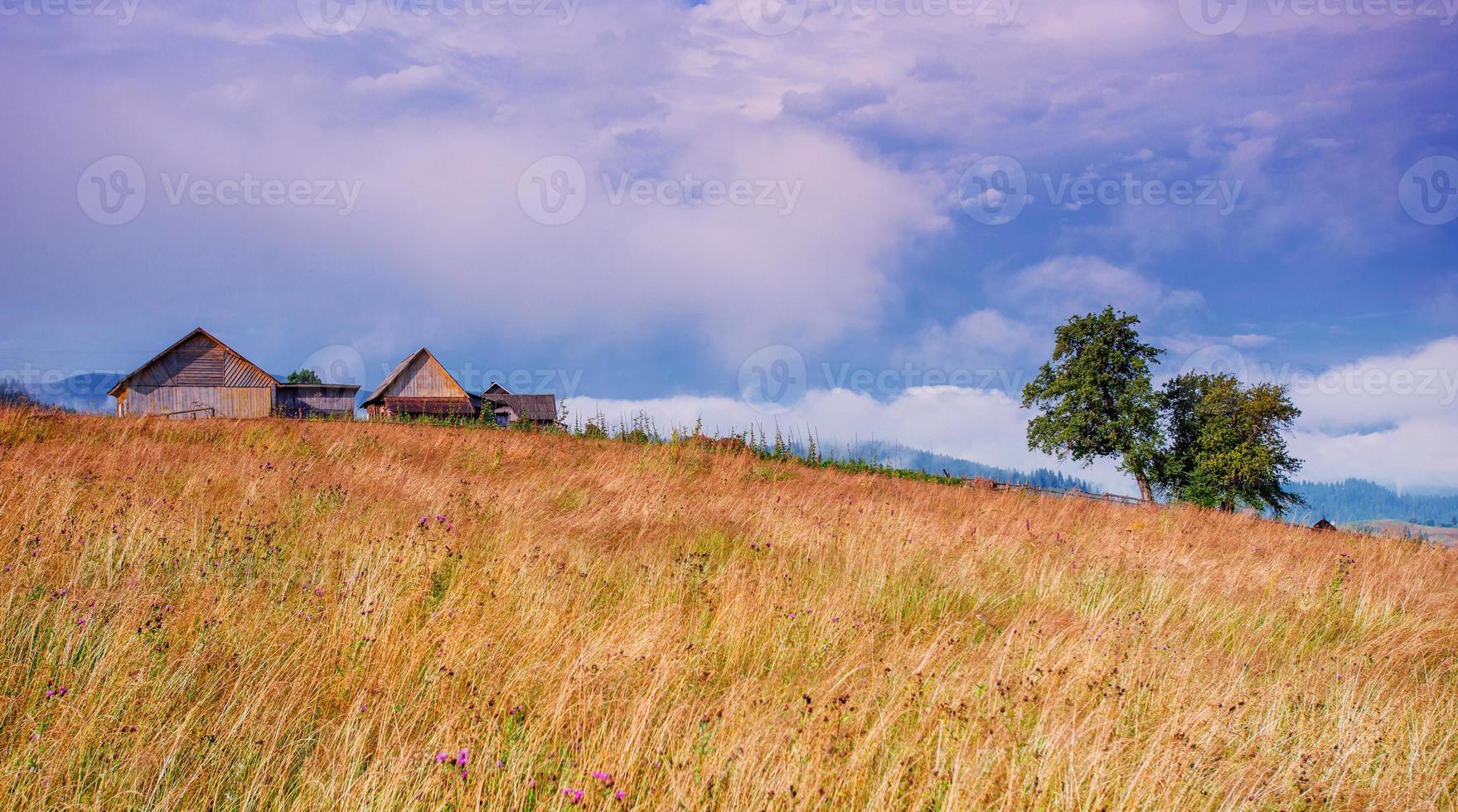 grass field in the mountains photo