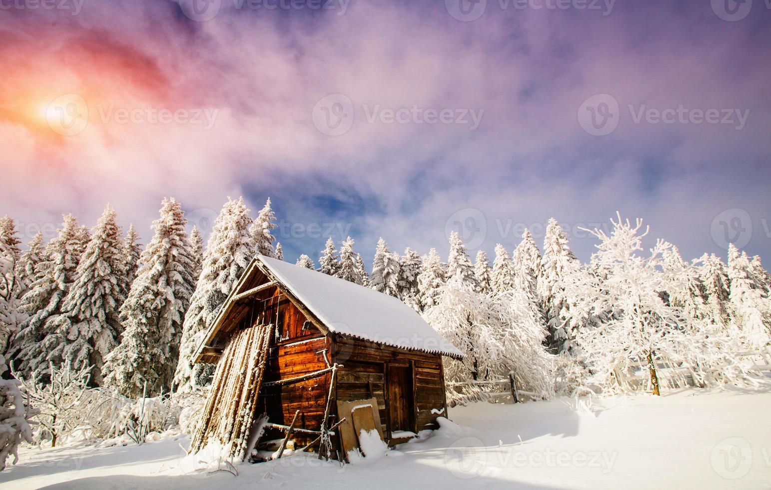 beautiful wooden house photo