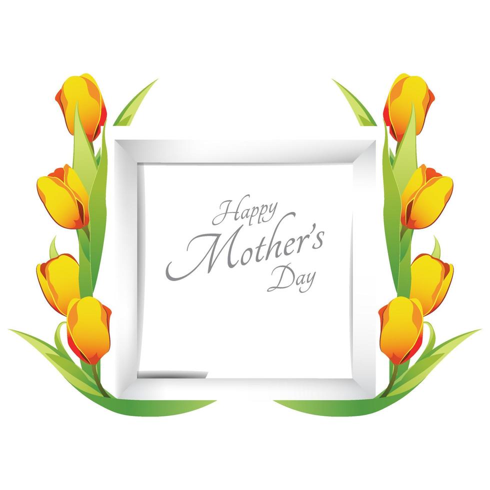 Beautiful composition of tulip flowers Frame. Mother's day, yellow tulip flower on white background. vector