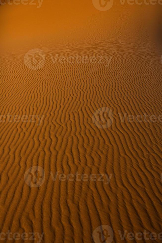 Beautiful sand dunes in the Sahara Desert in Morocco. Landscape in Africa in desert. photo