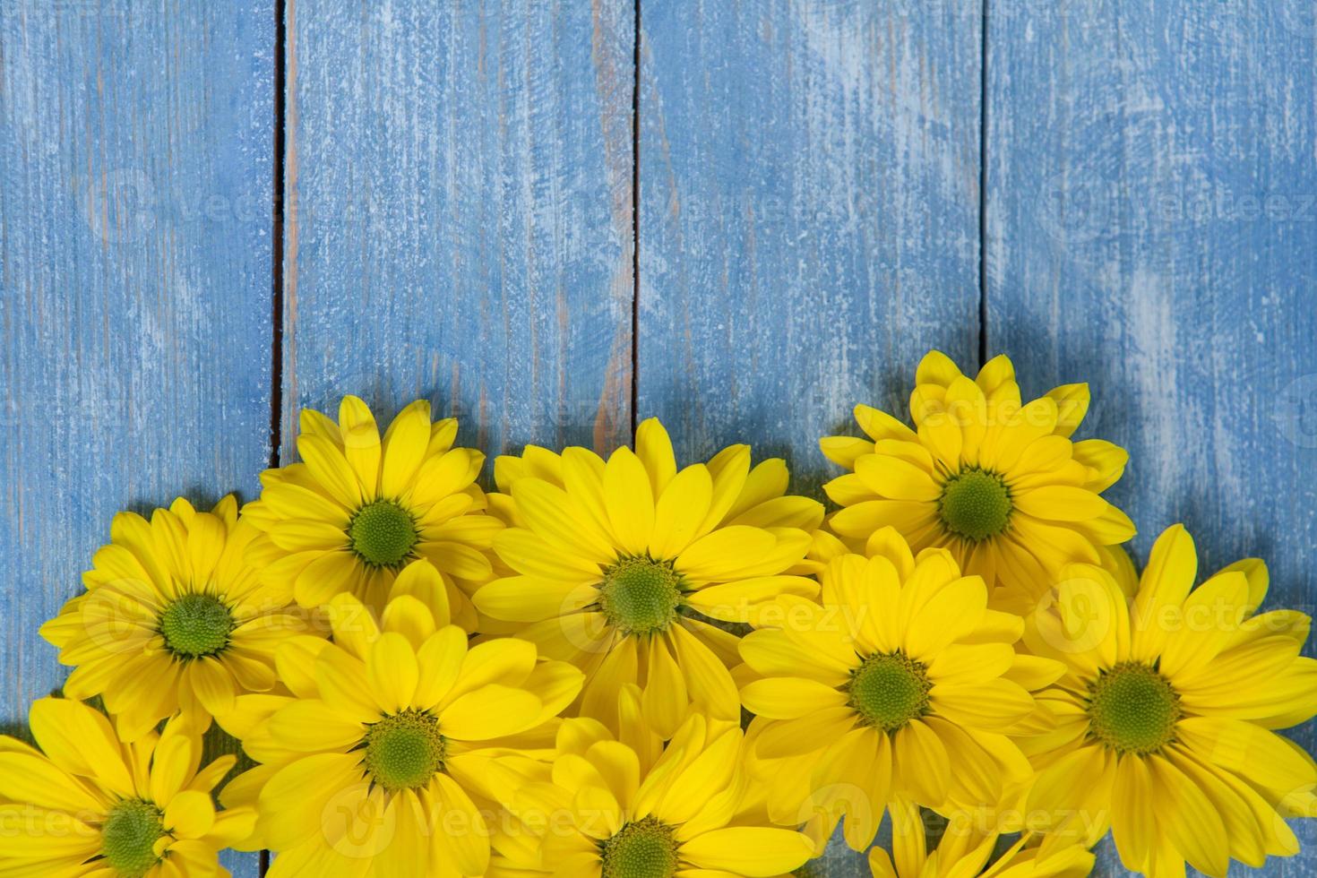 Flowers over painted wooden table. Flowers background for text. Floral background, flower border. Blossom flowers. photo