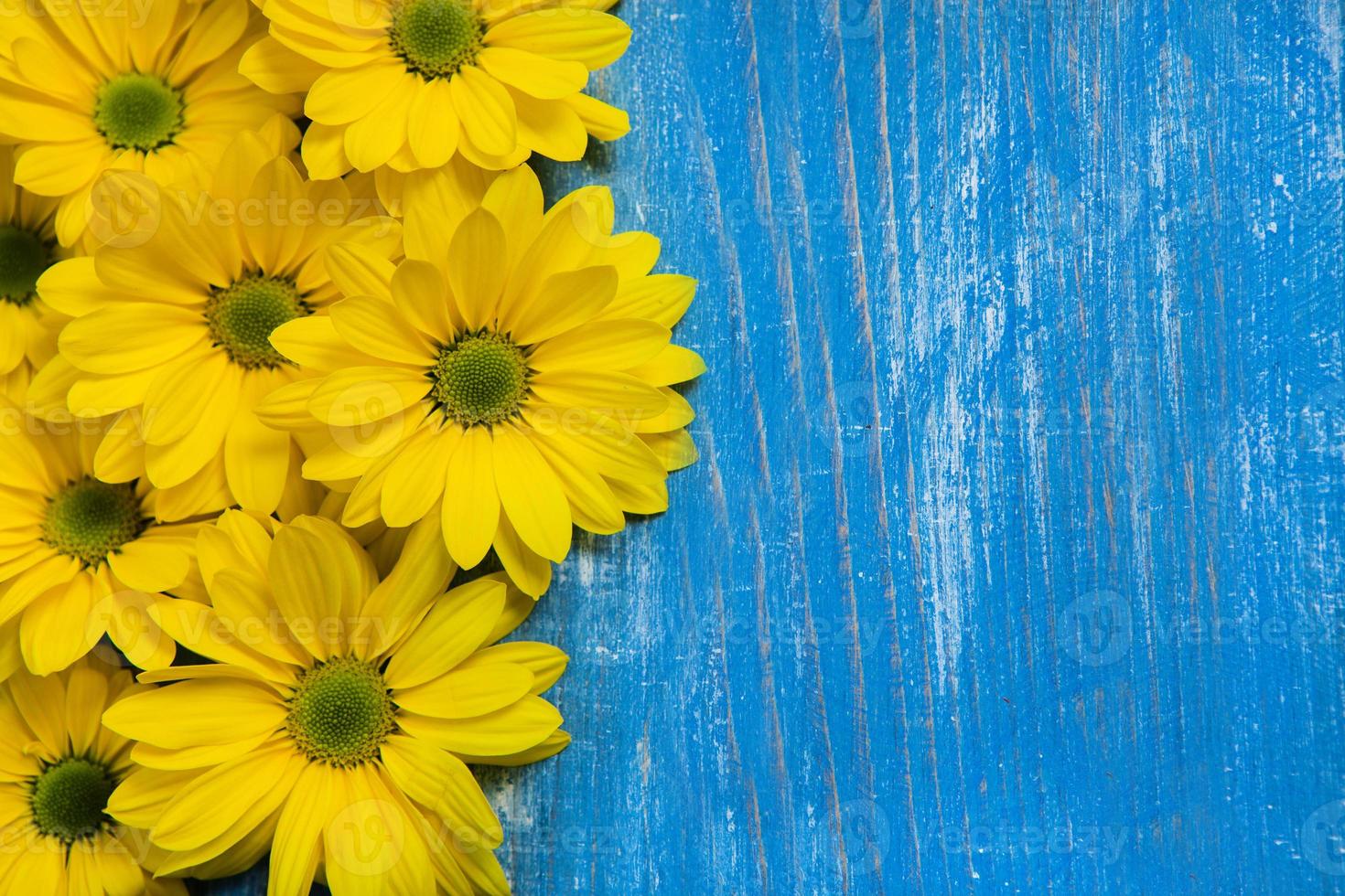 flores sobre mesa de madera pintada. fondo de flores para texto. fondo floral, borde de flores. flores de flor. 7031992 Foto de stock en Vecteezy flores sobre mesa de madera pintada. fondo de flores para texto. fondo floral, borde de flores. flores de flor. 7031992 Foto de stock en Vecteezy
