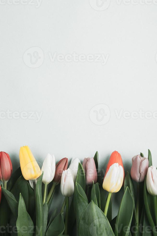 pancarta con ramo de tulipanes en colores rosa y blanco. concepto de primavera, día de la mujer, día de la madre, 8 de marzo, saludos festivos foto