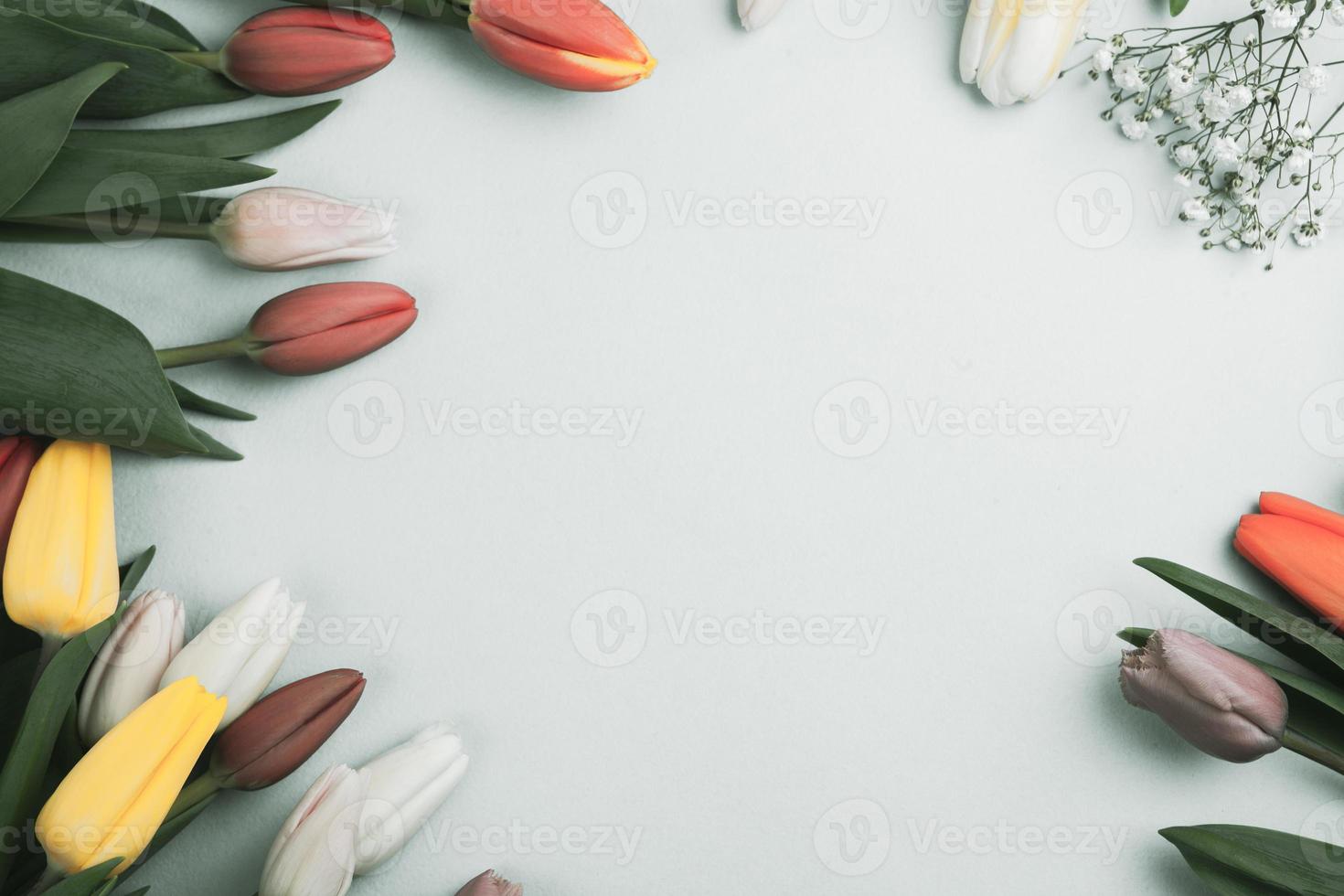 Banner with bouquet of tulips in pink and white colors. Concept of spring, Women's Day, Mother's Day, 8 March, the holiday greetings photo